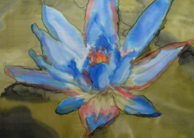 blue waterlily